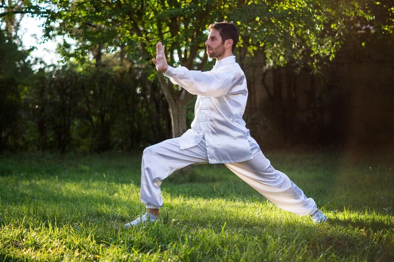 Chen Style Tai Chi in action